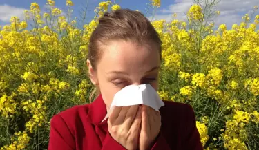 Alergia primaveral