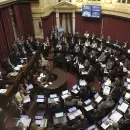 Cristina llam� a debatir al Senado sobre el acuerdo con el FMI