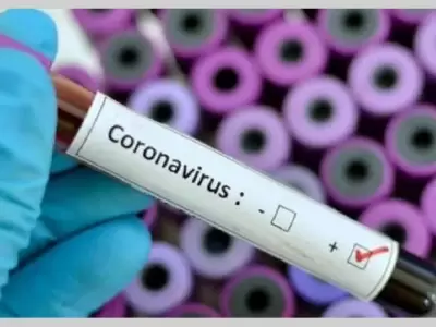 coronavirus5(31)