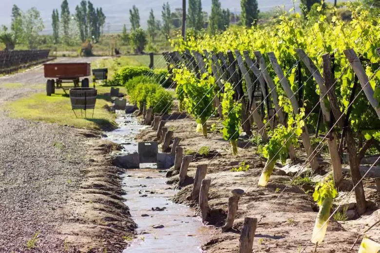 riego-por-acequia