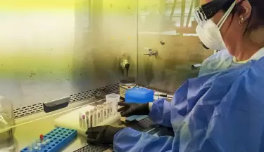 coronavirus12(28)