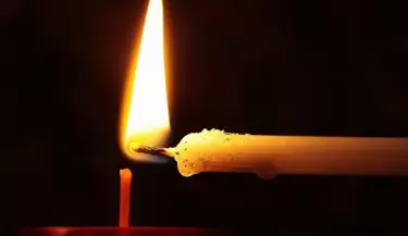 1174894