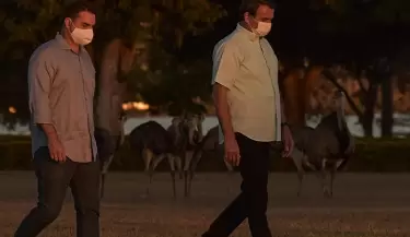 1175975