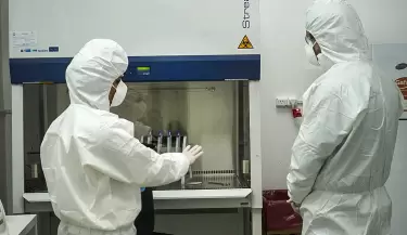 coronavirus11(59)