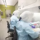 Un equipo argentino visualizó con IA neurorreceptores relacionados con enfermedades cerebrales