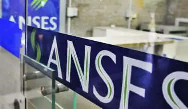anses(17)