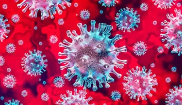 coronavirus(17)