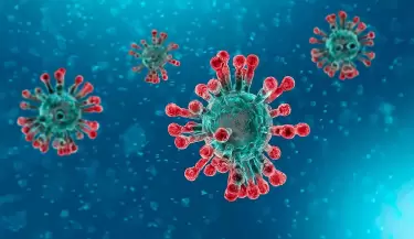 coronavirus1(64)