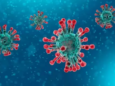 coronavirus1(64)