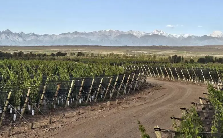 bodegas(1)