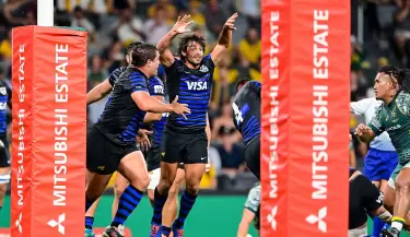 lospumas1(1)