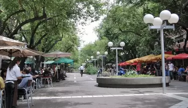 mendoza5(7)