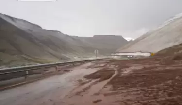 pehuenche1