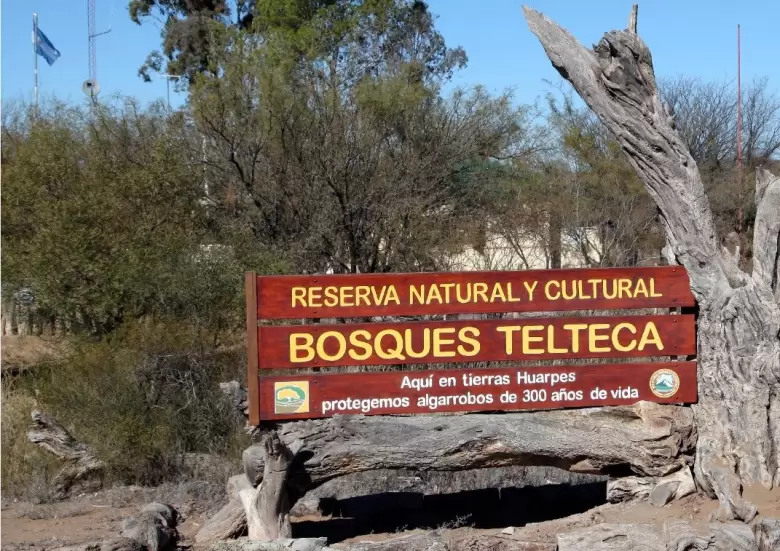 Bosques Telteca