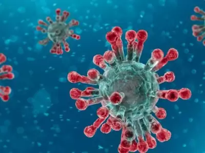 coronavirus1(74)