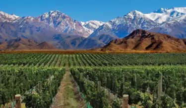 mendoza-argentina-viñedos