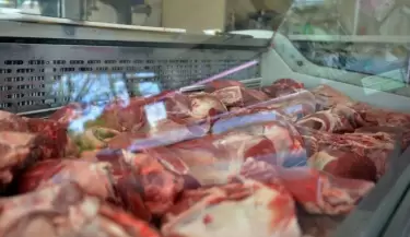 carne(4)
