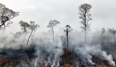 incendiocampos(2)