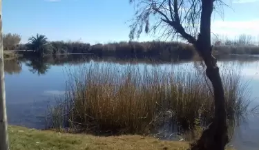 lagunaviborón(2)