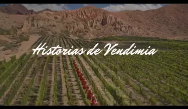 historiasdevendimia