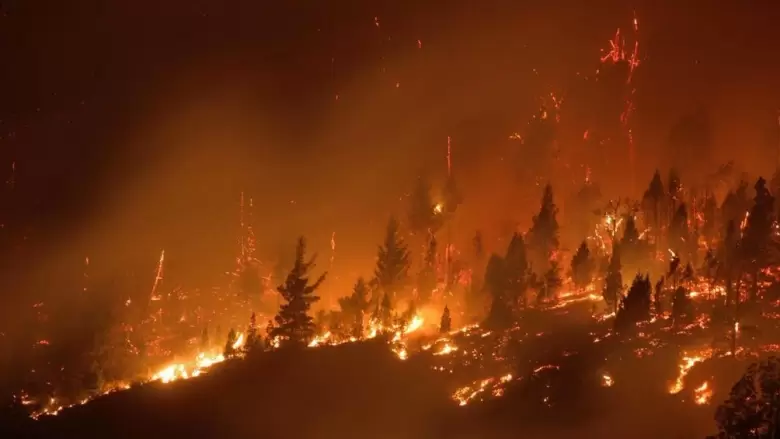 incendios(4)