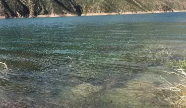 mendoza