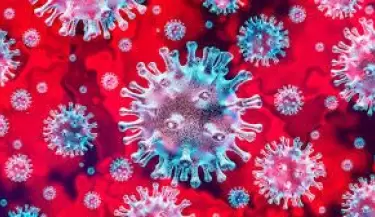 CORONAVIRUS2(48)