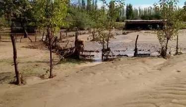 TORMENTASANRAFAEL1