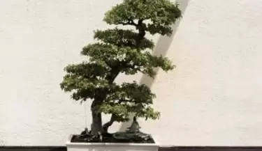 119434