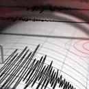 Un violento temblor se registró en Chile y se sintió con fuerza en Mendoza