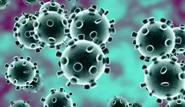 coronavirus4(85)