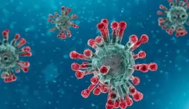 coronavirus1(87)