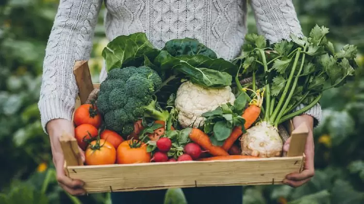 VERDURAS(1)