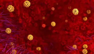 coronavirus2(102)