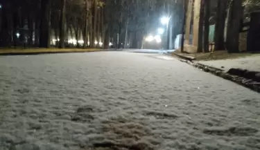 NEVADASANLUIS