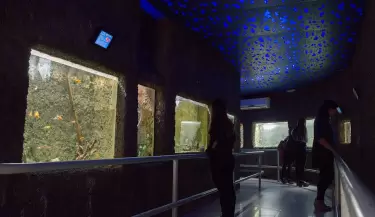 acuario