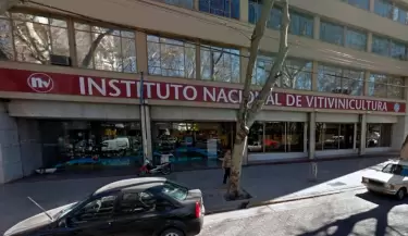 vitivinicultura-inv-infocampo(2)