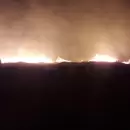 Hay focos de incendios forestales activos en Entre Ríos, Buenos Aires, San Luis y Santa Fe
