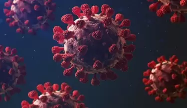 coronavirus(119)