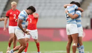 pumas(1)