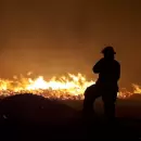 Descontrolado incendio en Punta del Agua afecta a animales y campos