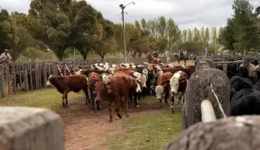 GANADO