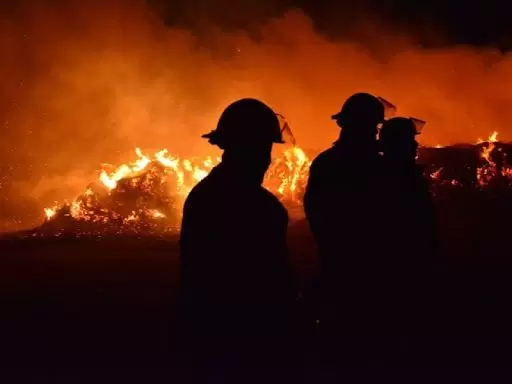 incendiocampo(16)