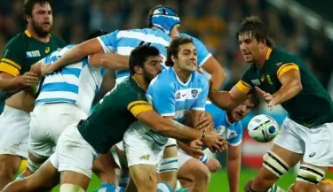 pumas-springboks_crop1447247107174