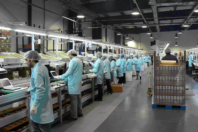 empresas(1)