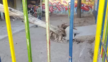peligro1
