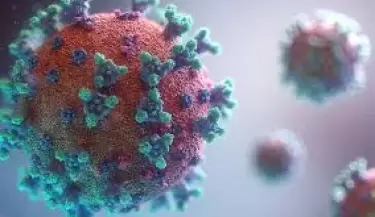 coronavirus2(83)