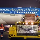 Aerolíneas Argentinas transportó más de 2.300 toneladas de salmón chileno a Estados Unidos
