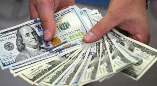 dolar(51)