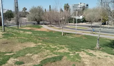 Mendoza6